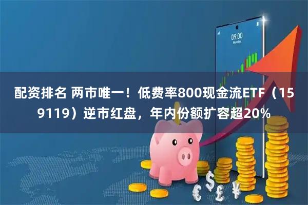 配资排名 两市唯一！低费率800现金流ETF（159119）逆市红盘，年内份额扩容超20%